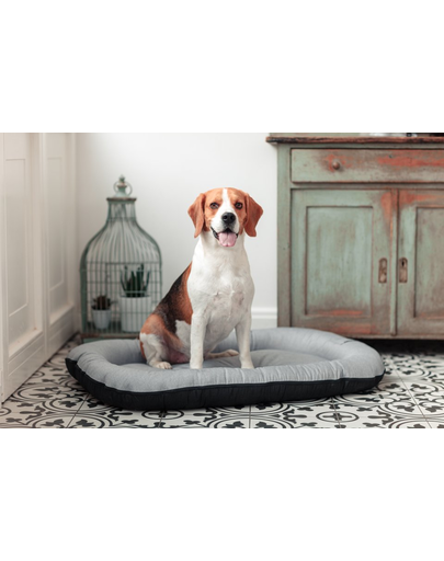 FERA Sky Ponton pat pentru caine S 74 x 46 cm
