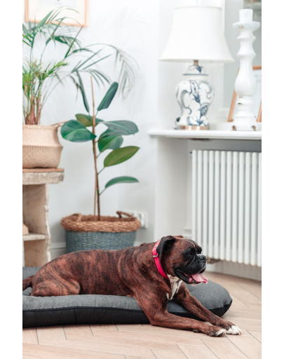 FERA Sunset Ponton pat pentru animale de companie M 82 x 57 cm