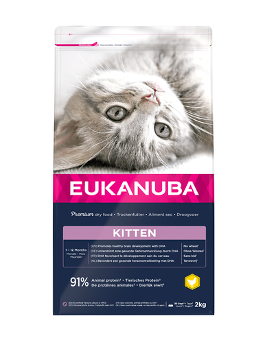 EUKANUBA Cat Kitten All Breeds Healthy Start Chicken & Liver Hrana uscata pentru pisici junior, cu pui si ficat 2 kg