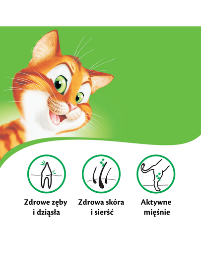 KITEKAT cu pește și legume 12 kg