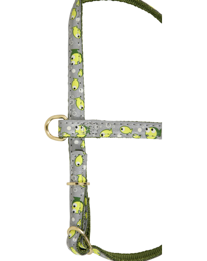 ZOLUX Ham Family 10 mm verde