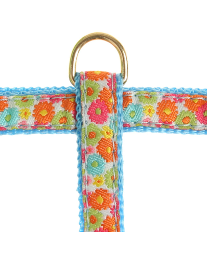 ZOLUX Ham Hippy 10 mm albastru