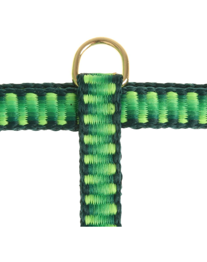 ZOLUX Ham Seventies 10 mm verde
