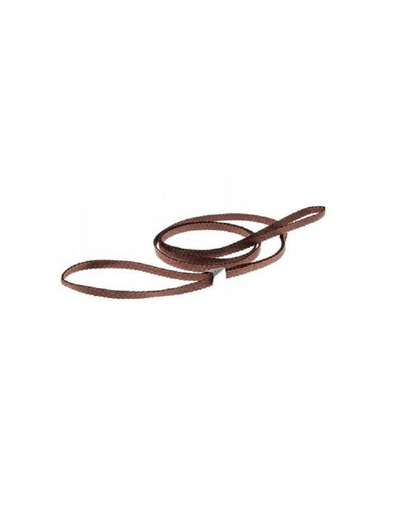 4WILD Inel englezesc pentru expozitii de caini 150 cm maro