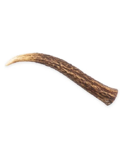 MACED Corn de cerb pentru caine, marimea S 1 buc.