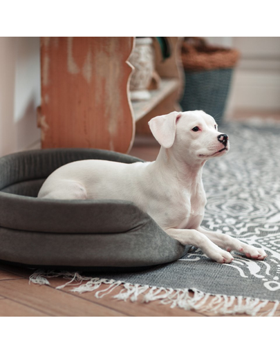 FERA Pat oval cu perna pentru caini, gri, Marime S: 53 x 44 x 16