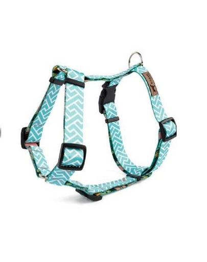 ESME FOR DOG guard arctic ice Ham caine XS/2cm