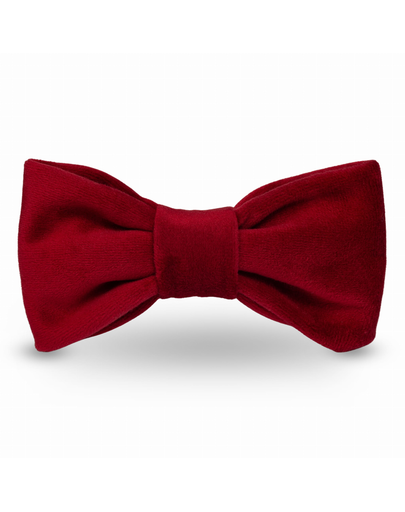 ESME FOR DOG Papion catei, latime zgarda 2,5 cm cherry