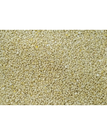 BENEK Super Corn Cat Golden 7 l  Asternut igienic din porumb pentru litiera 4,4 kg