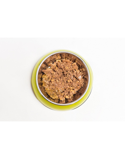 ARUBA Dog Organic hrana caini curcan cu ovaz, sfecla si anghinare 100 g