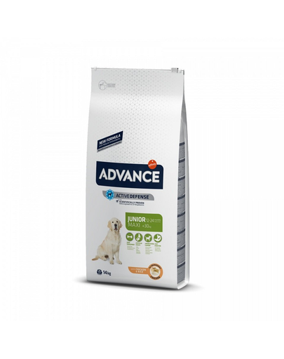 ADVANCE Maxi Junior 14kg hrana uscata caini tineri de talie mare