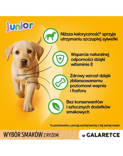 PEDIGREE Pedigree Junior Hrana umeda caini junior, mix arome in aspic 48x100 g