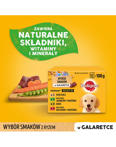 PEDIGREE Pedigree Junior Hrana umeda caini junior, mix arome in aspic 48x100 g