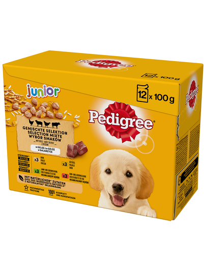 PEDIGREE Pedigree Junior Hrana umeda caini junior, mix arome in aspic 48x100 g