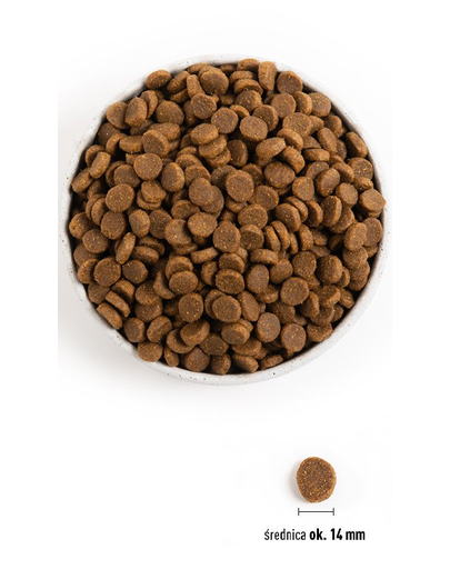 ACANA Senior Dog hrana uscata caini seniori 11.4 kg