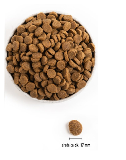 ACANA Adult Large Breed hrana uscata caini adulti de talie mare 17 kg