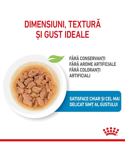 Royal Canin Mini Puppy in sos 85 g hrana umeda catei rasa mica