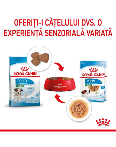 Royal Canin Mini Puppy in sos 85 g hrana umeda catei rasa mica