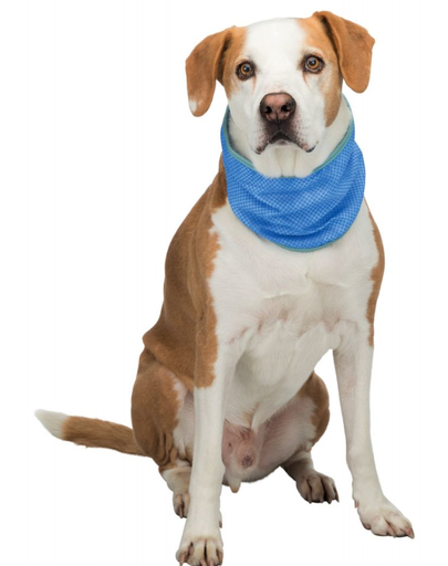 TRIXIE Bandana pentru caini cu efect racoritor PVA, M: 28–40 cm
