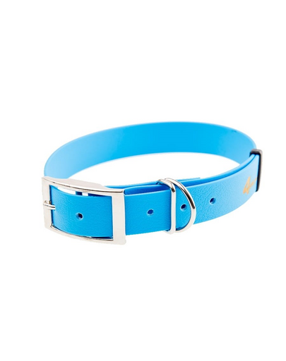 4WILD Zgarda caini impermeabila 25mm - 38-52 cm albastru