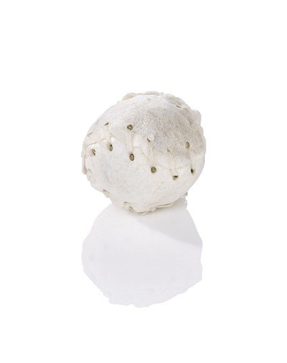 MACED Baseball Recompensa caini 7.5 cm