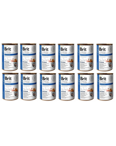 BRIT Veterinary Diet Recovery Salmon hrana dietetica pentru caini si pisici 12x400 g