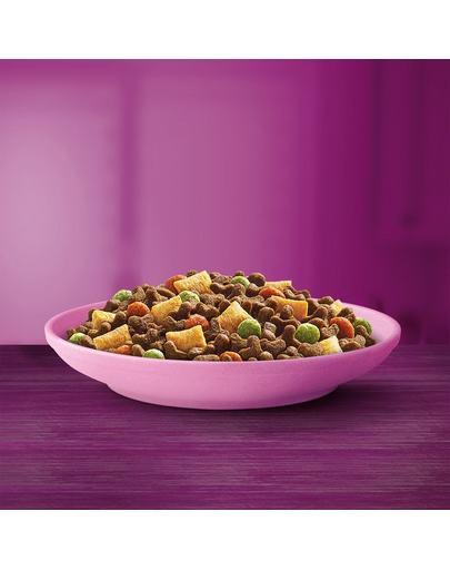 WHISKAS Junior 300 g hrana pentru pisoi cu pui delicios
