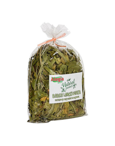 ALEGIA Patlagina uscata pentru rozatoare 100 g
