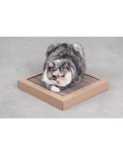 CARTON+ PETS Suport ascutire gherute pentru pisici, din carton Tom