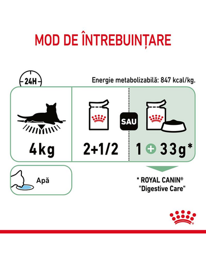 ROYAL CANIN Digestive Care in sos 12x85 g hrana umeda pisici adulte, cu tract digestiv sensibil