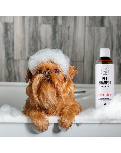 PETS Shampoo Aloe Vera Sampon antimatreata caini, pisici, rozatoare 250 ml