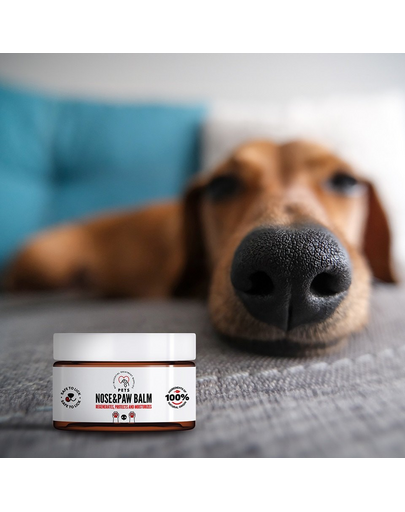 PETS Nose & Paw Balm Balsam nas si labe 75 ml
