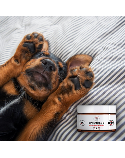 PETS Nose & Paw Balm Balsam nas si labe 75 ml