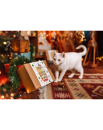 ZOLUX Set cadou pentru pisici