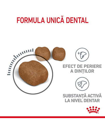 ROYAL CANIN Dental Care 400 g hrana uscata pisici adulte, reduce acumularea de tartru