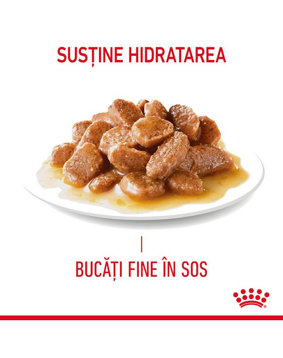 Royal Canin Light Weight Care in sos 85 g hrana umeda pisici adulte cu tendinta de supraponderabilitate