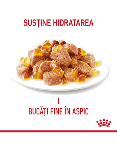 Royal Canin Light Weight Care in aspic 85 g hrana umeda pisica limitarea cresterii in greutate