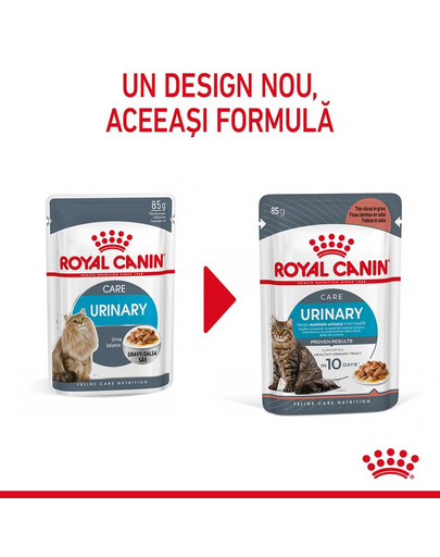 Royal Canin Urinary Care 12 x 85 g in sos, hrana umeda pisica pentru sanatatea tractului urinar