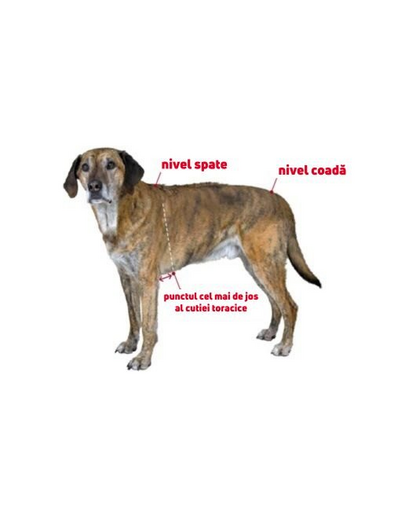 TRIXIE Lunas Haina ploaie pentru caini S 33 cm argintiu/albastru