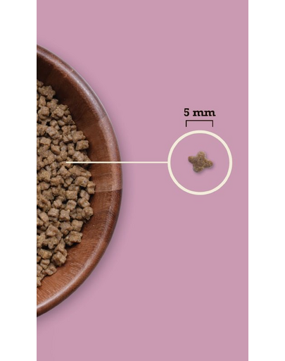 ACANA Highest Protein Kitten 1,8 kg hrana pisoi