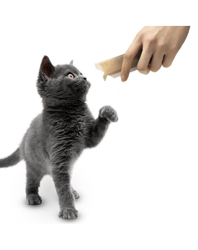 APPLAWS Cat recompense pentru pisici, cu pui 10 x (8 x 7) g