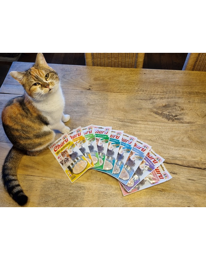 INABA Churu Cat Recompense pentru pisici, piure cu pui si ton 56 g
