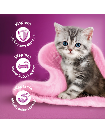WHISKAS Junior Classic Meals Hrana umeda pentru pisoi  52x85g cu vita si pui in sos