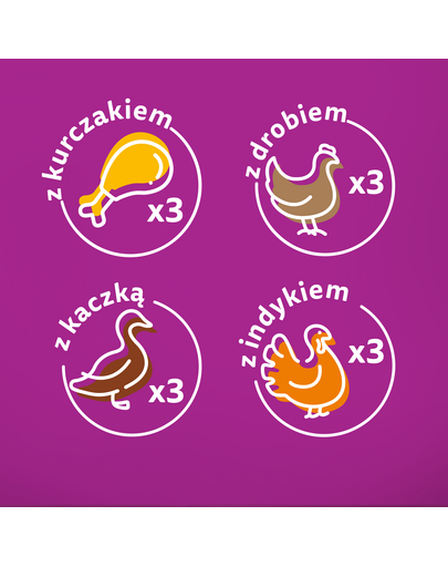WHISKAS Junior 48x85g pliculet hrana umeda pentru pisoi cu: pui, curcan, pasare, rata in aspic
