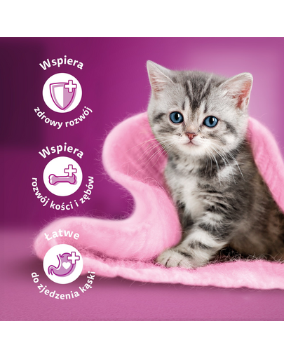 WHISKAS Junior 48x85g pliculet hrana umeda pentru pisoi cu: pui, curcan, pasare, rata in aspic