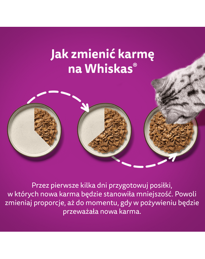 WHISKAS Junior 48x85g pliculet hrana umeda pentru pisoi cu: pui, curcan, pasare, rata in aspic