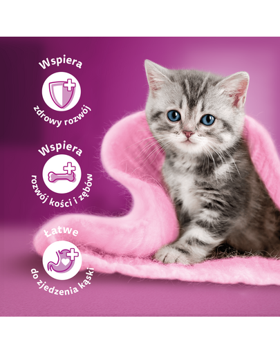 WHISKAS Junior 52x85g hrana umeda pentru pisoi, cu pui si curcan in aspic