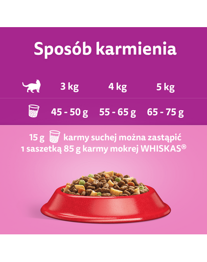WHISKAS Adult hrana cu peste pentru pisica 48x85g somon, ton, cod, peste alb in aspic