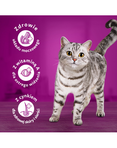 WHISKAS Adult hrana cu peste pentru pisica 48x85g somon, ton, cod, peste alb in aspic