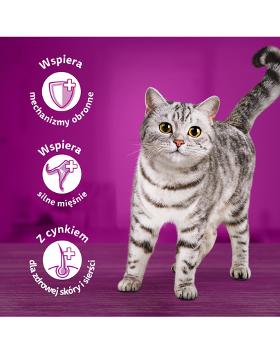 WHISKAS Junior pliculete 28x85g hrana umeda pentru pisoi, cu pui in aspic